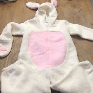 Bunny Suit🐰🐰🐰